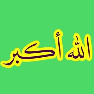 Meet your Posher, Amina